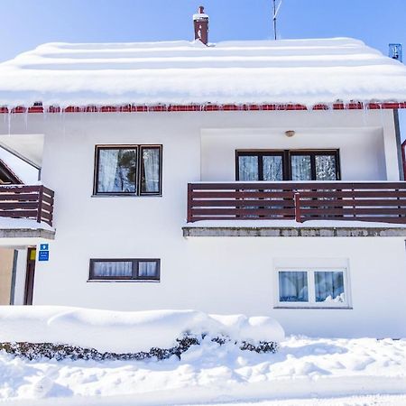 Apartman Japlenski Delnice Buitenkant foto