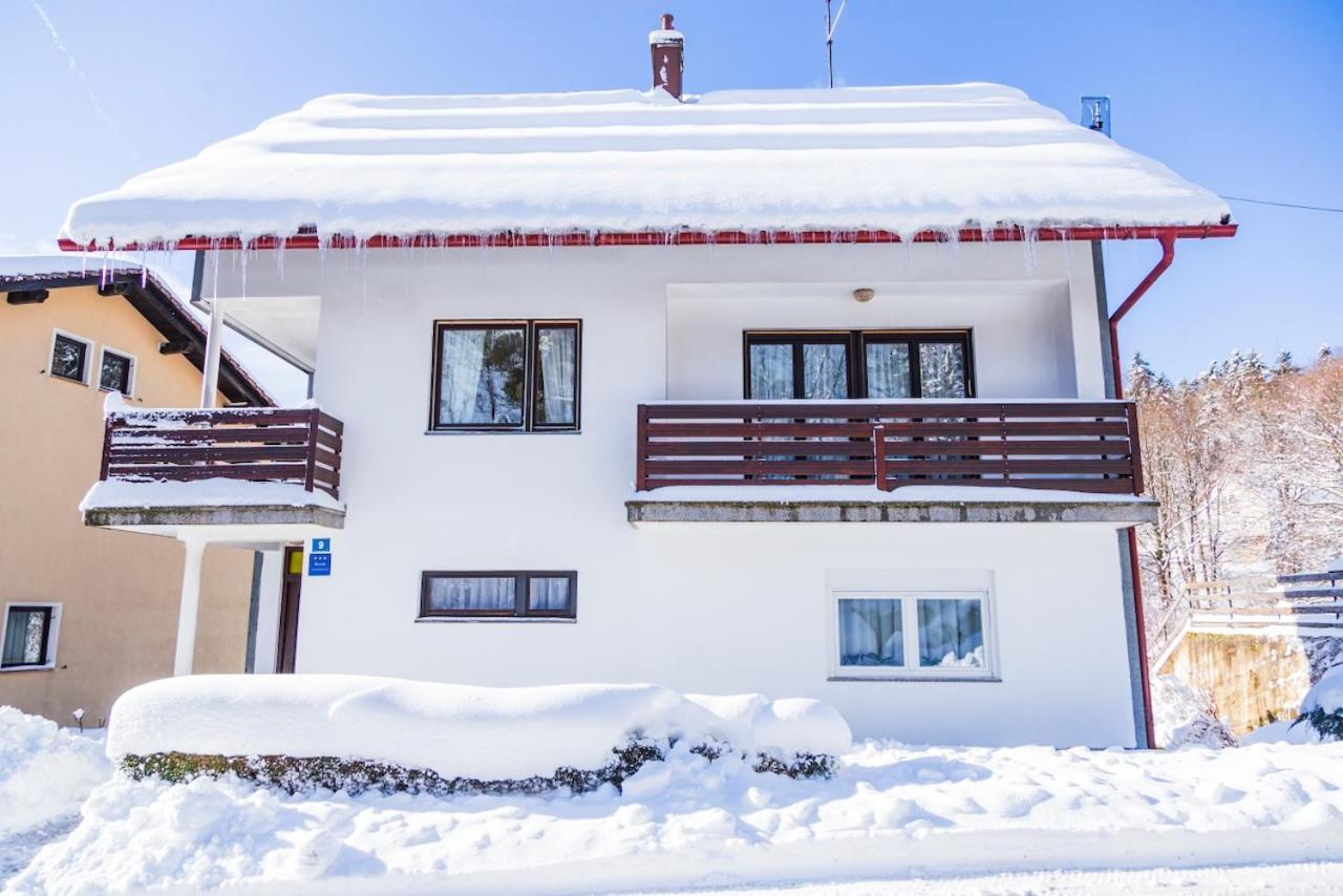 Apartman Japlenski Delnice Buitenkant foto