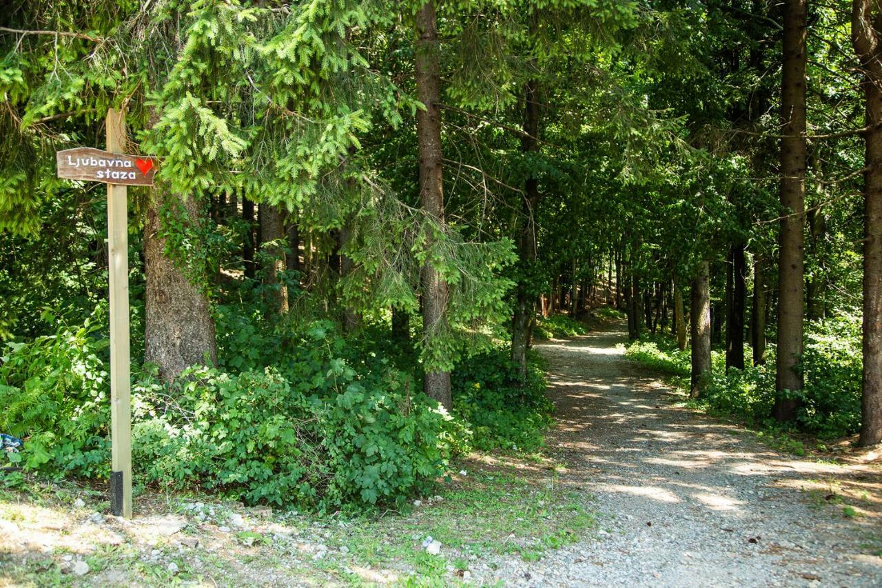 Apartman Japlenski Delnice Buitenkant foto