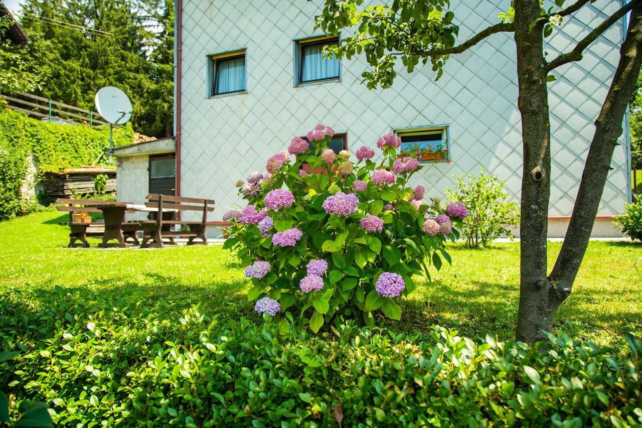 Apartman Japlenski Delnice Buitenkant foto